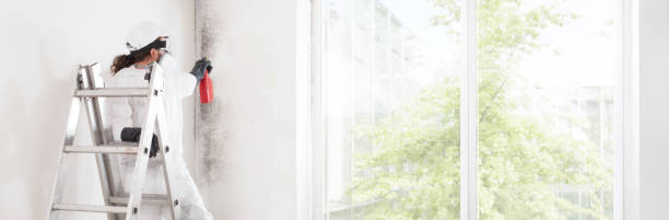 Best Attic Mold Removal  in Crescent, OK