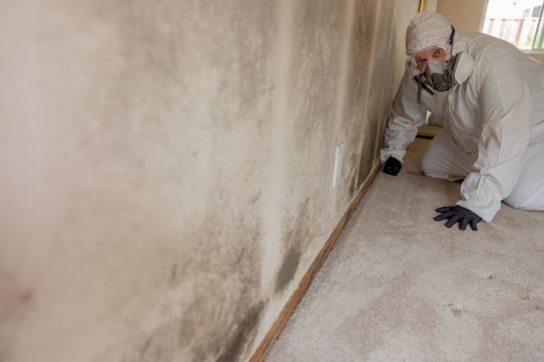 Best Industrial Mold Remediation  in Crescent, OK