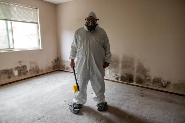 Trusted Crescent, OK Mold Removal Experts